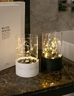 LED Solar light